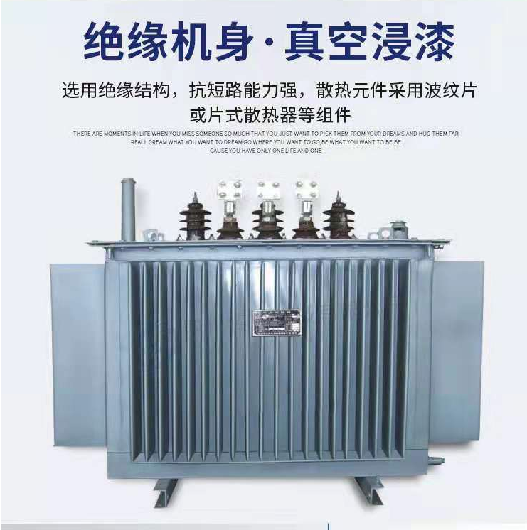 110kv-220kv油浸电力变压器(图2)
